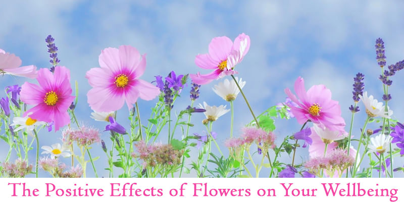 The Positive Effects of Flowers on Your Well-being